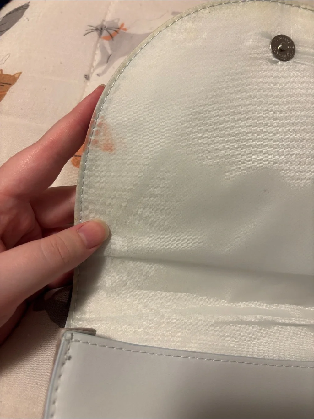 philosophy makeup pouch